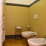 Rent 1 bedroom apartment of 60 m² in Prague