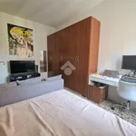 Rent 1 bedroom apartment of 45 m² in Sesto San Giovanni