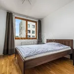 Rent 3 bedroom apartment in Capital City of Prague