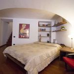 Rent 1 bedroom apartment of 45 m² in Torino