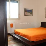 Rent 3 bedroom apartment of 100 m² in Garbagnate Milanese