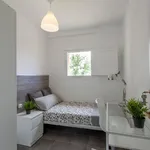 Rent 4 bedroom apartment in Valencia