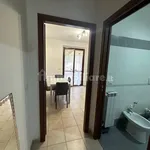 Rent 3 bedroom apartment of 79 m² in Grosseto