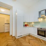 Pronajměte si 1 ložnic/e byt o rozloze 60 m² v Prague