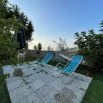 Appartamento QUADRILOCALE in affitto a	Monte Argentario (Gr)