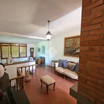 Rent 1 bedroom house of 180 m² in Latina