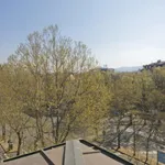 Rent 1 bedroom apartment in Turin