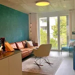 Rent 3 bedroom apartment in Bern