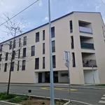 Rent 1 bedroom apartment of 36 m² in Graz