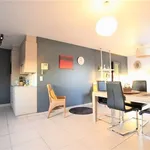 Rent 1 bedroom apartment in Helkijn