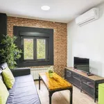 Rent 1 bedroom apartment of 60 m² in madrid