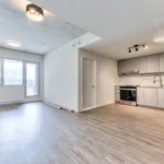  appartement avec 1 chambre(s) en location à Montreal