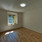 Pronájem bytu 1+kk 28m²