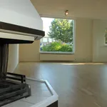 Rent 5 bedroom house of 175 m² in Haarlem