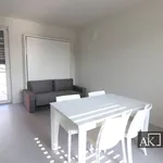 Rent 1 bedroom apartment of 49 m² in Novara