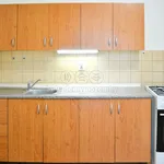 Rent 2 bedroom apartment of 60 m² in Ostrava