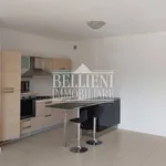 Rent 3 bedroom apartment of 85 m² in Vicenza