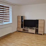 Rent 1 bedroom apartment in Liberec