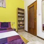 Rent a room in Bologna