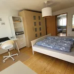 Miete 2 Schlafzimmer wohnung von 55 m² in Fürth