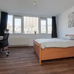 Rent 3 bedroom apartment of 73 m² in Rotterdam