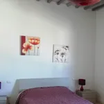 Rent 2 bedroom apartment of 45 m² in Piombino