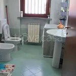 Rent 2 bedroom apartment of 40 m² in Piacenza