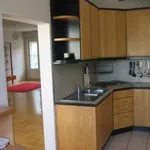 Rent 4 bedroom apartment of 135 m² in Krakow