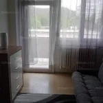 Rent 1 bedroom apartment of 50 m² in Salgótarján