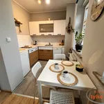 Rent 1 bedroom apartment of 28 m² in Poznań