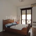 Rent 2 bedroom apartment of 50 m² in Torino