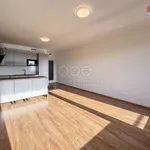 Rent 3 bedroom apartment of 73 m² in Praha