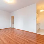 Rent 1 bedroom apartment of 28 m² in Prague