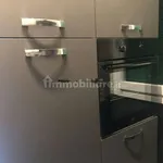 Rent 1 bedroom apartment of 35 m² in Turin