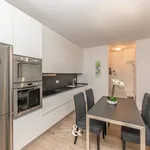 Rent 2 bedroom apartment of 61 m² in Monza