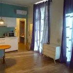 Rent 1 bedroom apartment in Turin