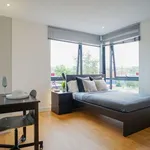 Rent 1 bedroom apartment in Yorkshire And The Humber