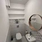 Rent 1 bedroom apartment of 64 m² in Budapest