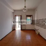 Rent 2 bedroom apartment of 50 m² in Roma