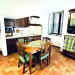 Rent 2 bedroom apartment of 50 m² in Napoli