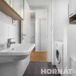 Rent 1 bedroom apartment in Capital City of Prague