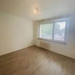 Rent 1 bedroom apartment in Brno