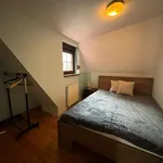 Rent 4 bedroom apartment of 89 m² in szczecin