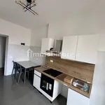 Rent 2 bedroom apartment of 55 m² in Biella