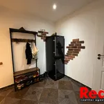 Rent 4 bedroom apartment of 101 m² in Brno