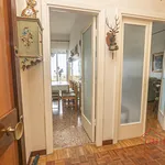 Rent 6 bedroom apartment of 120 m² in Genoa