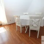 Rent 3 bedroom apartment of 80 m² in Nuremberg