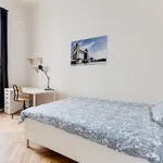 Rent 5 bedroom apartment in Prague