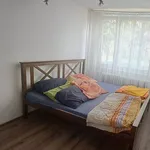 Rent 2 bedroom apartment in Rychnov nad Kněžnou