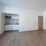 Rent 2 bedroom apartment in Capital City of Prague